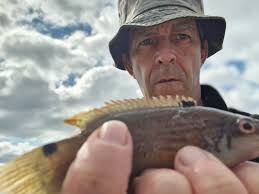 Managed to get out for a few hours yesterday in the hope adding anything  really Was a bit of a trek but actually managed to add two to the total by  the