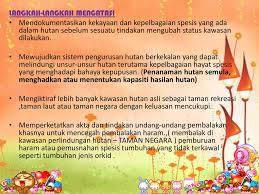 Like dan subscribe channel cara menggambar agar menjadi lebih berkembang. Kepupusan Flora Flauna Ppt Download