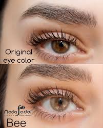 Nada Bee ندى بي Light Brown Colored Contact Lenses All Lenses Last For 3 Months Re Contact Lenses For Brown Eyes Contact Lenses Colored Eye Contact Lenses