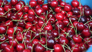 Les cerises de patagonie (argentine) ont la réputation d'être sans parasites ni maladies. C Est Le Temps Des Cerises 2020 S Annonce Comme Une Bonne Annee Dans L Yonne
