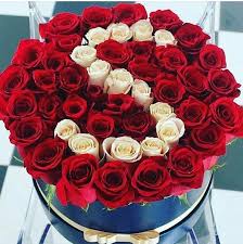 Benim Bas Harfim Love Rose Beautiful Flowers Pretty Flowers