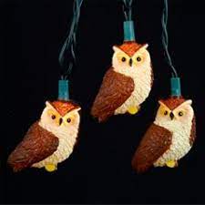 Pin On I 3 Owls