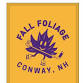 Fall Foliage Conway, NH Women's 40+, 60+ Hockey Tournament