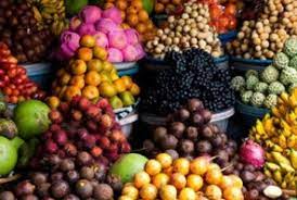 Maybe you would like to learn more about one of these? Jokowi Perintahkan Bumn Tanam Buah Buahan Republika Online