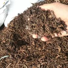 We did not find results for: Pupuk Organik Kemasan Daun Bambu Alus 1 Kg Media Tanam Organik Daun Bambu Kering Media Tanam Kompos Daun Bambu Lazada Indonesia