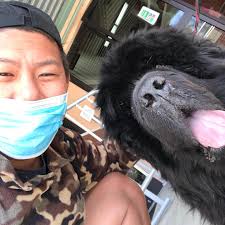 Vincent Su (@vsu.chiroforyou) • Instagram photos and videos