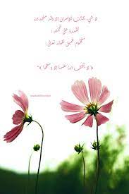 Dont Worry Be Happy Cosmos Plant Flowers Plant Roots