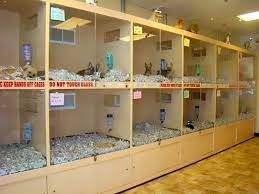 Petopia is a local pet store and your home for brand name pet supplies and has puppies, kittens, ferrets, hamsters, guinea pigs and other small animals for sale. New Jersey Passes New Law That Requires Pet Stores To Sell Only Rescue Animals Bored Panda