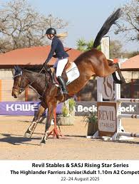 Image result for Disa equestris