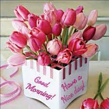 Pin By Alessia On Accept Happy Birthday Flower Birthday Wishes Flowers Happy Birthday Wishes Cards