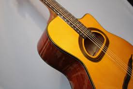 Rm 1 myr malaysian ringgit ₮ 693.305 mnt mongolian togrog. Richwood Rm 140 Nt American Guitar Shop Gitarren In Berlin