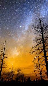 Need to know your phone resolution? Best Wallpapers For Mobile Hd High Resolution Mobile Wallpaper Hd 1080x1920 Wallpaper Teahub Io