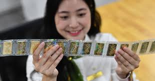 Chuẩn bị thành lập sàn giao dịch vàng, ban đầu chỉ hoạt động trong nội địa