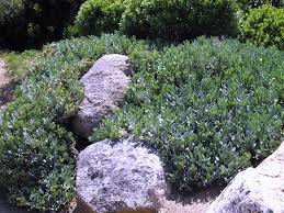 Image result for Hertia