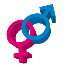 Existen distintos tipos de identidades no binarias:. Diferencia Entre La Orientacion Sexual Y La Identidad De Genero