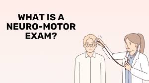 Image result for Motor Exam