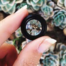 A Close Look At Mobile Macro Photography Enlight Blog Macro Photography Macro Lens Photography Macro Photography Guide