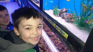 Family seeking home in Geneva