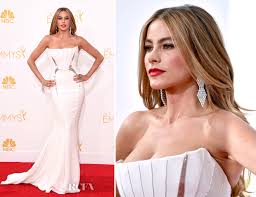 62nd primetime emmy nominations ceremony. Sofia Vergara In Roberto Cavalli 2014 Emmy Awards Red Carpet Fashion Awards