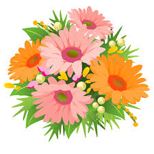 Download in under 30 seconds. Gerbera Flower Bouquet Clipart Free Download Transparent Png Creazilla