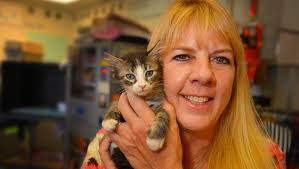 Meet the 2017 Organization of the Year nominee Brevard Humane Society