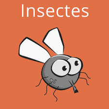 Insectes Astuces Et Repulsifs Anti Insectes Insectes Anti Insecte Barriere Insecte