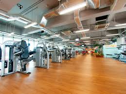 Activesg park @ jurong lake gardens gym. Covid 19 Latest Updates Activesg