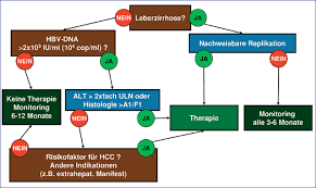 Hepatitis b (hbv, hep b) is a virus that spreads through infected blood or body secretions (blood, semen, vaginal discharge, breast milk, and saliva). 2007 3 Leitlinien Zur Prophylaxe Diagnostik Und Therapie Der Hepatitis B Virus Infektion Eine Zusammenfassung