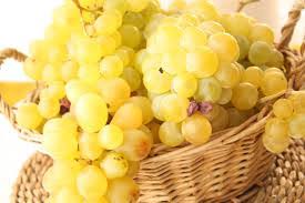 We did not find results for: Vand Struguri Capsunica