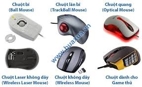 Lựa chọn chuột cho máy vi tính - BuaXua.vn