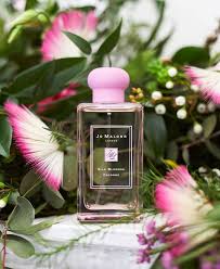 Narciso Rodriguez Santal Musc Eau De Parfum Intense 100ml Experience The Sweet Scent Of Silk Blossom Explore Our Limited Edition Fragranc Blossom Edition Experience Explore Perfume Perfume Scents Fragrance