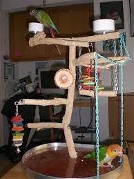 Easy To Make Bird Diy Playstand Awesome Fun Parrot Play Area Parrot Toys Bird Toys Bird Stand