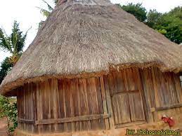 Tidak hanya pemandangan alam, namun juga keunikan budaya. 35 Gambar Rumah Adat Timor Tengah Selatan Terbaru Koleksi Gambar Rumah Terlengkap
