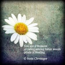 Petals Of Healing Haiku Haiku Poetry Haiku Petals