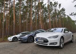 In light of tesla's $1.5 billion purchase of bitcoin, market bullishness is at a fever pitch. Tesla Progress On German Factory Slowed By Sleeping Snakes