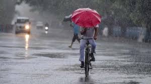 Know what's the weather in dapitan city today; Kerala Weather Update Today Heavy Rains May 14 15 Red Alert Pinarayi Vijayan Latest News India News India Tv