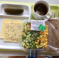 Essen Im Krankenhaus Joshna Maharaj Will Es Gesunder Machen Welt