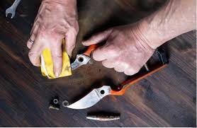 We did not find results for: Retirer La Rouille Tout Pratique