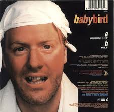 Babybird New, Cheap & Rare Vinyl Records, CDs, LP Albums & Singles —  RareVinyl.com