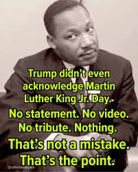 Tomi Lahren After yall finish totally screwing up your blue cities and  states you'll decide to flee to our great red cities and states with your  "coexist" and "no human is illegal"