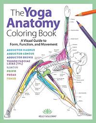 Download Pdf Download Free The Yoga Anatomy Coloring Book A Visual Guide To