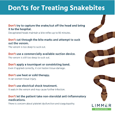 Image result for Snake Bite