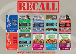Natura Pet Issues New Dog And Cat Food Recall Cbs Chicago