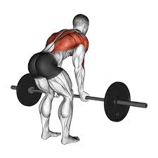 Er wird auch breiter rückenmuskel genannt und ist der größte aller rückenmuskeln. á… Lat Ubungen Zuhause Fitness Studio Top 5 Bilder Videos