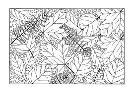 Print up enough leaves so that you'll have a full collection on your. Medley Of Fall Leaves Adult Coloring Page Favecrafts Com