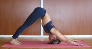 Yoga postures are categorized in three ways: Downward Dog Pose Wikipedia