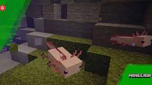 Maybe you would like to learn more about one of these? Minecraft Axolotl Update 1 17 New Caves Cliffs Mob Explained