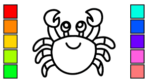 Pemandangan tidak melulu pegunungan dan sawah, pemandangan di bawah laut juga sangat indah dimana indonesia adalah surganya pemandangan laut yang indah. Cara Menggambar Kepiting Dengan Mudah Youtube