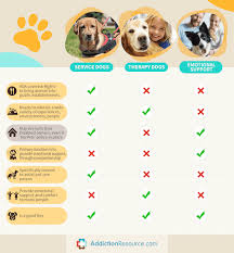 According to the centers for disease control and prevention, the company of a pet can help people who are living with depression. Pets And Addiction Recovery How Animals Assist In Rehabilitation