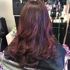 Mahogany brown hair color looks amazing with a few touches of violet. Mahogany Is Flattering For Both Cool And Warm Complexions But In Case You Are Sure You Won T Pull Off Reddish Br Hair Color Mahogany Mahogany Hair Hair Styles
